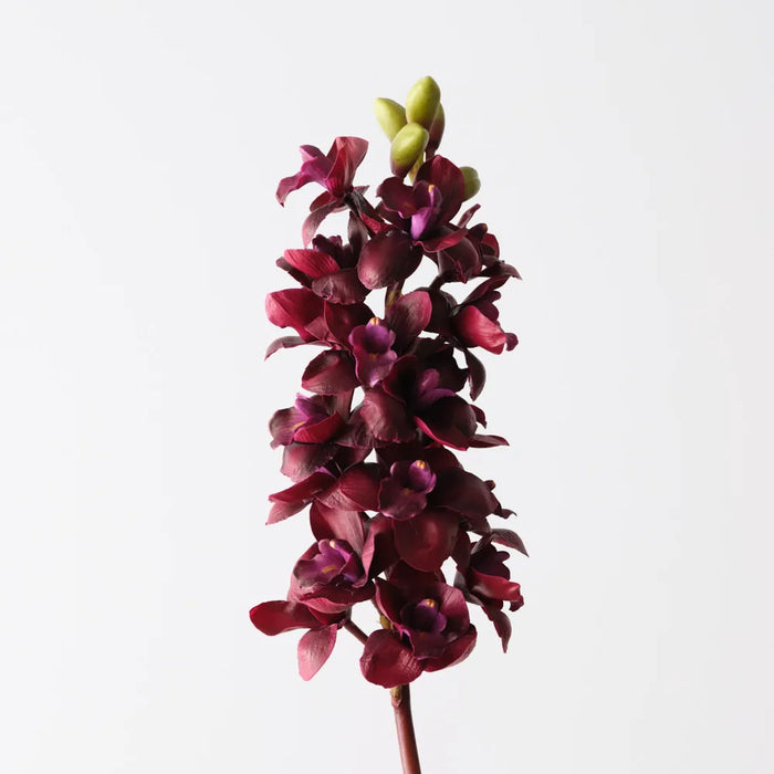 Cymbidium Orchid Wine Red 83cm, Pack of 6