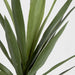 Artificial Yucca Head Green 64cm Green - FLORA DESIGNS