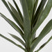 Artificial Yucca Head Green 64cm Green - FLORA DESIGNS
