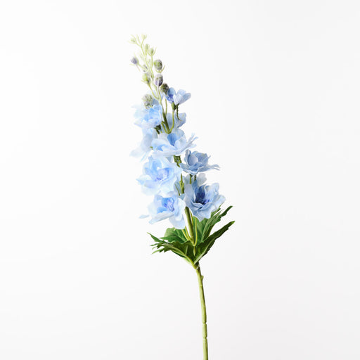 Delphinium Light Blue 72cm - Pack of 12