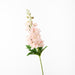 Delphinium Peach 72cm - Pack of 12