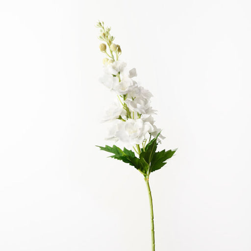 Delphinium White 72cm - Pack of 12