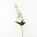 Delphinium White 72cm - Pack of 12