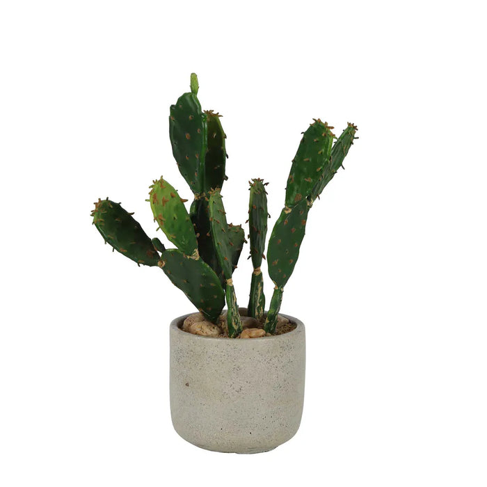 Desert Cactus in Pot 32cm Green Set of 2