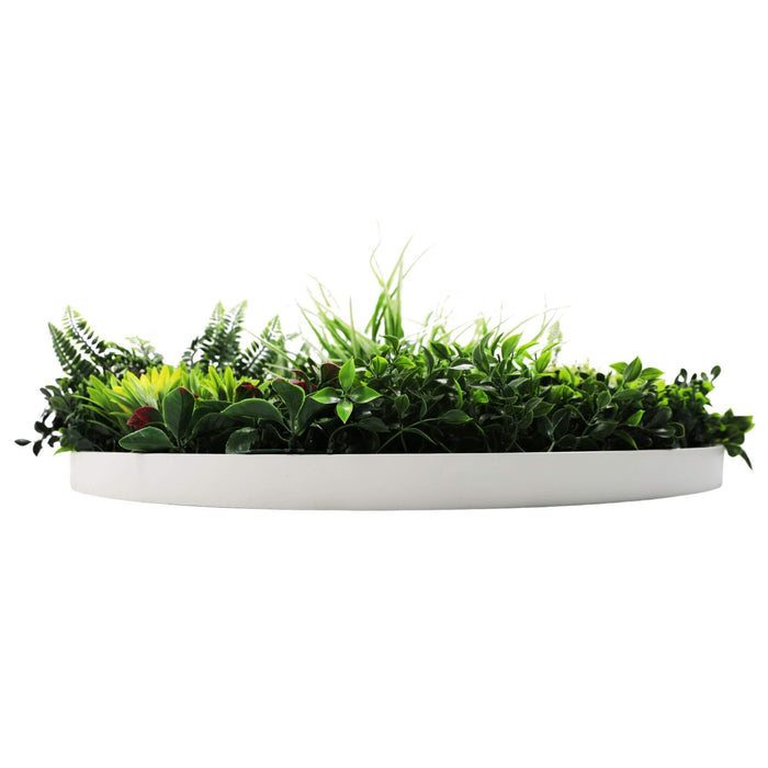 Slimline Artificial Green Wall Disc Art Colour 80cm - FLORA DESIGNS