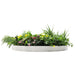 Slimline Artificial Green Wall Disc Art Country Fern 60cm - FLORA DESIGNS