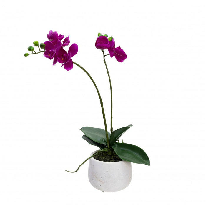 Double Spike Orchid In Pot 45cm Set of 2