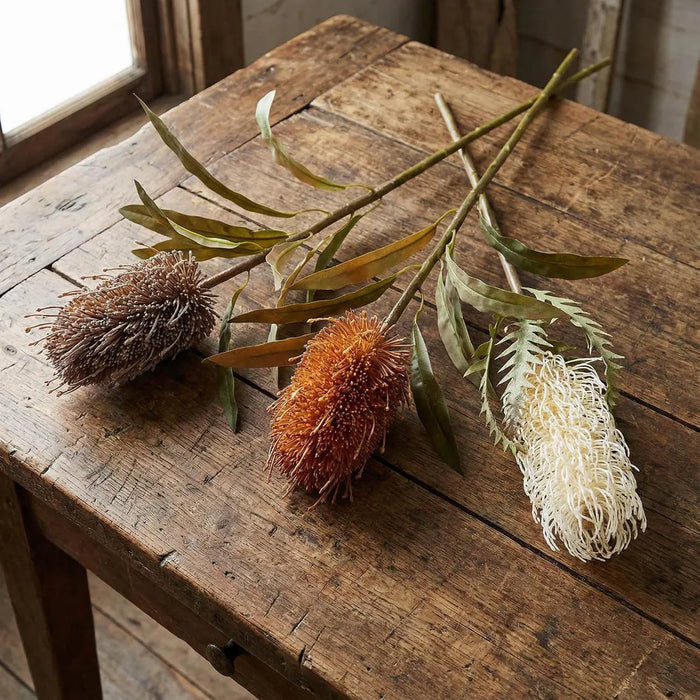 Dried Look Banksia Stem Brown 56cm Pack of 12