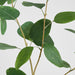 Artificial Eucalyptus Leaf Spray Green 87cm Green - FLORA DESIGNS