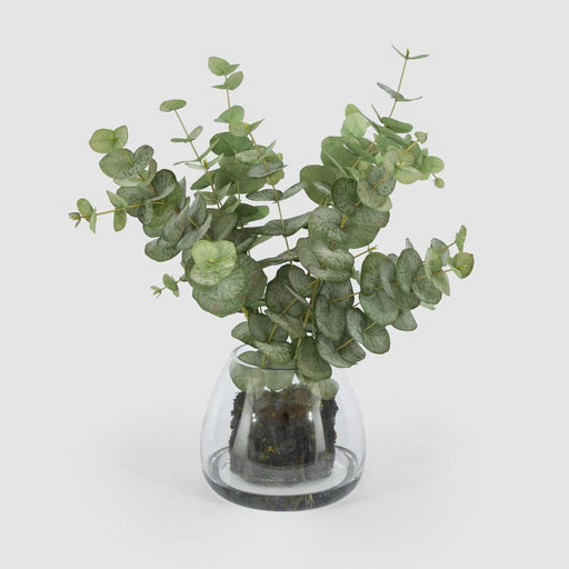 Eucalyptus Leaf Spray in Vase 59cm Green - FLORA DESIGNS
