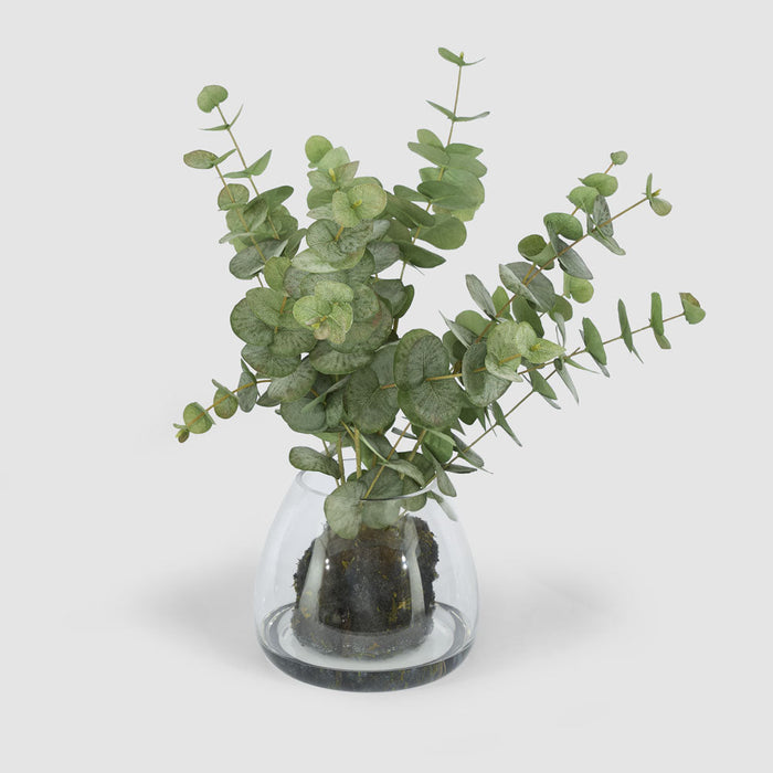 Eucalyptus Leaf Spray in Vase 59cm Green - FLORA DESIGNS