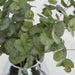 Eucalyptus Leaf Spray in Vase 59cm Green - FLORA DESIGNS