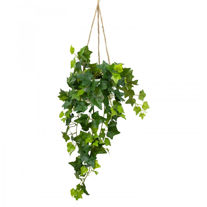English Ivy In Hanging Planter 100cm Set of 2