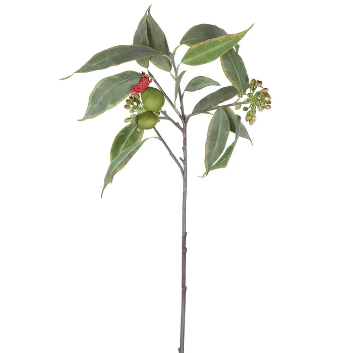 Eucalyptus Flower Spray With 15 leaves 64cm Red Pack of 12