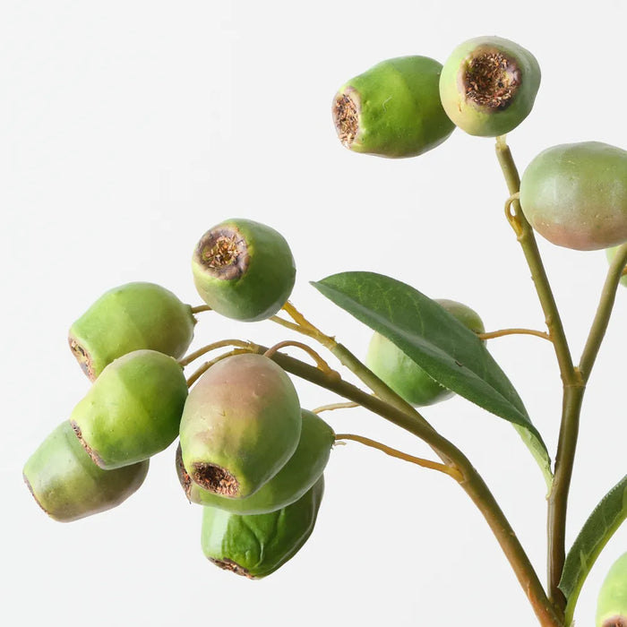 Eucalyptus Gum Nut Green 51cm - Pack of 12