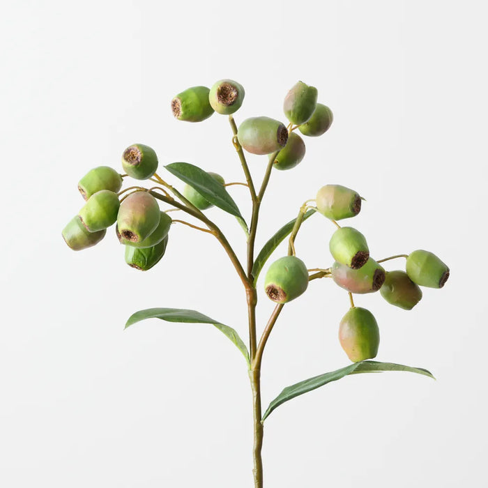 Eucalyptus Gum Nut Green 51cm - Pack of 12