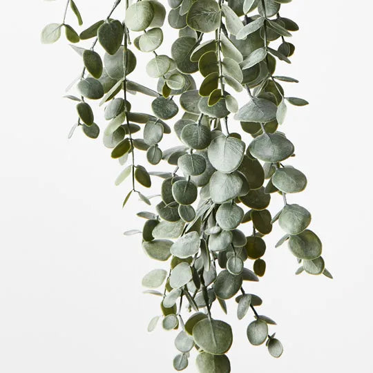 Eucalyptus Hanging Bush Green Grey 76cm Pack of 6