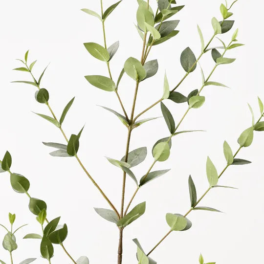 Eucalyptus Mini Leaf Spray Grey Green 137cm Set of 6