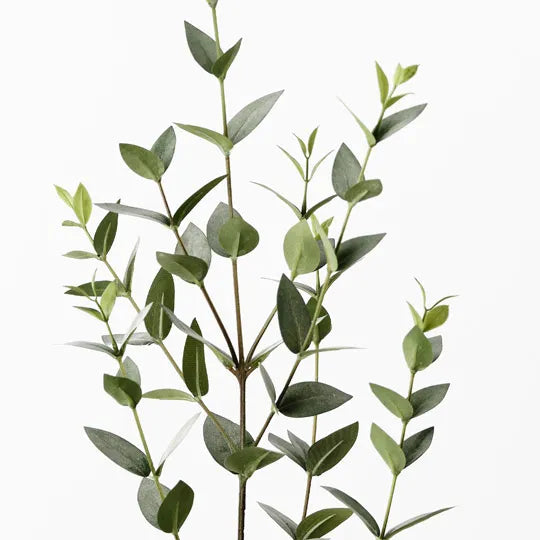 Eucalyptus Mini Leaf Spray Grey Green 91cm Set of 24