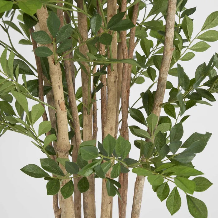 Eucalyptus Mini Leaf Tree Green Green 120cm