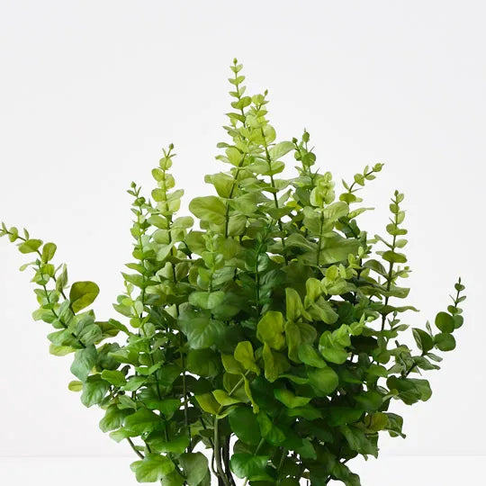 Eucalyptus Plant Green 60cm Pack of 2