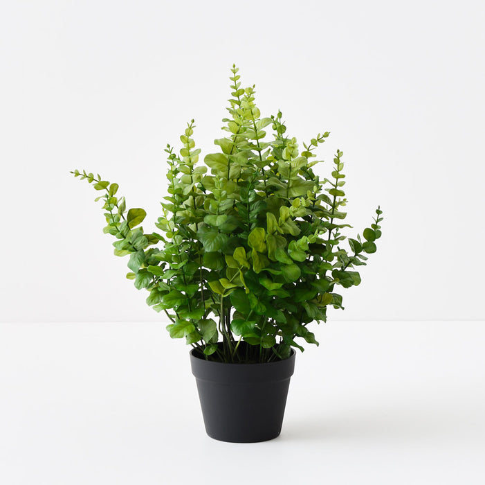 Eucalyptus Plant Green 60cm Pack of 2