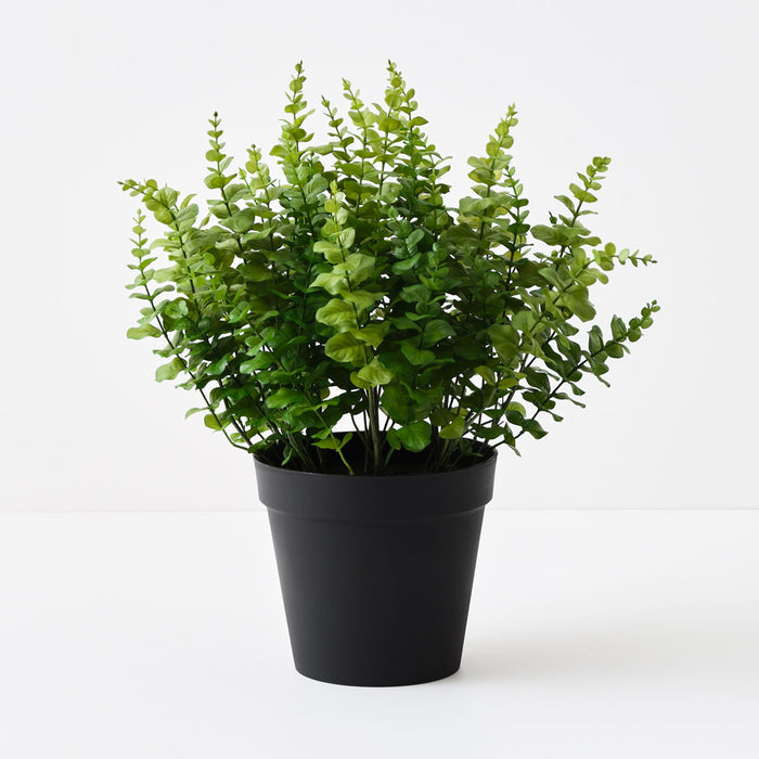 Eucalyptus Plant Green 68cm