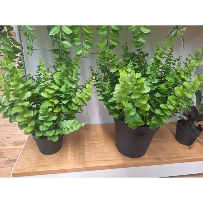 Eucalyptus Plant Green 60cm Pack of 2