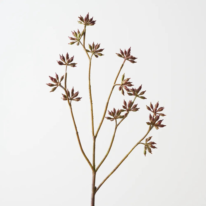Eucalyptus Seed Spray 83cm Burgundy Red- Pack of 12