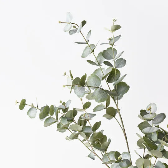 Eucalyptus Spray Grey Green 147cm Set of 2