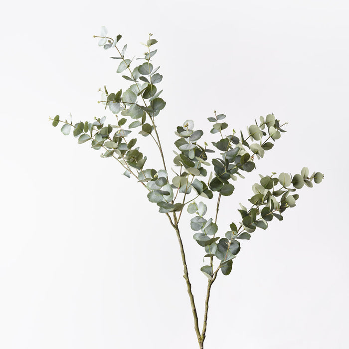 Eucalyptus Spray Grey Green 147cm Set of 2