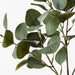 Eucalyptus Spray Grey Green 74cm - Pack of 12