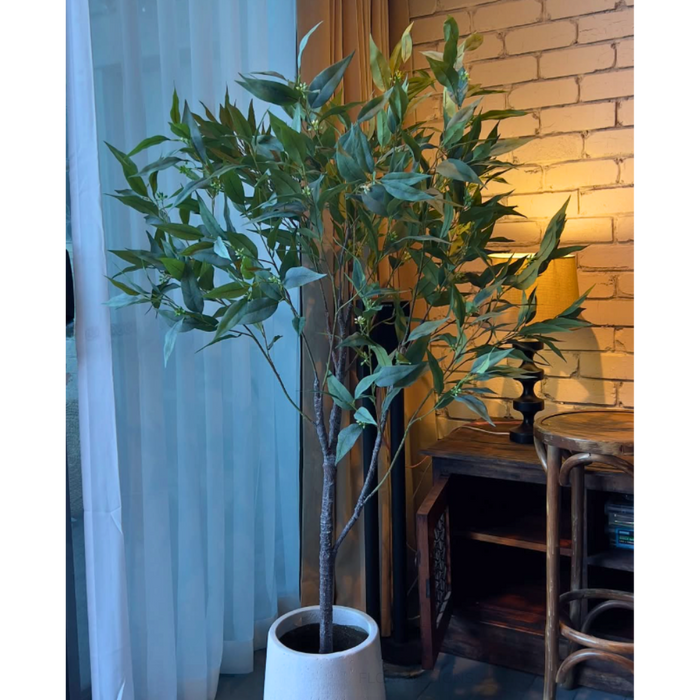 Eucalyptus Tree Green 160cm