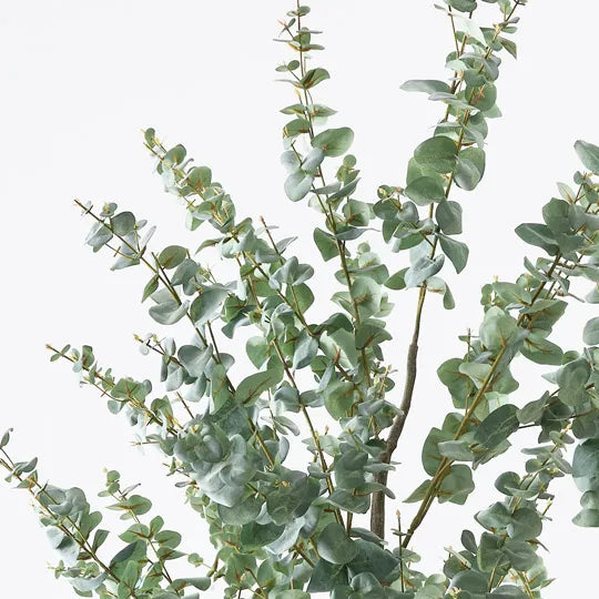 Eucalyptus Tree Green 220cm