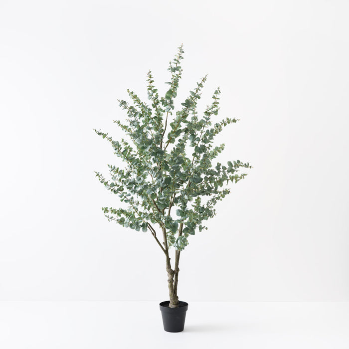 Eucalyptus Tree Green 220cm