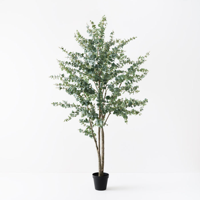 Eucalyptus Tree Green 270cm