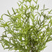 Artificial Real Touch Asparagus Fern Bush 45cm Green - FLORA DESIGNS