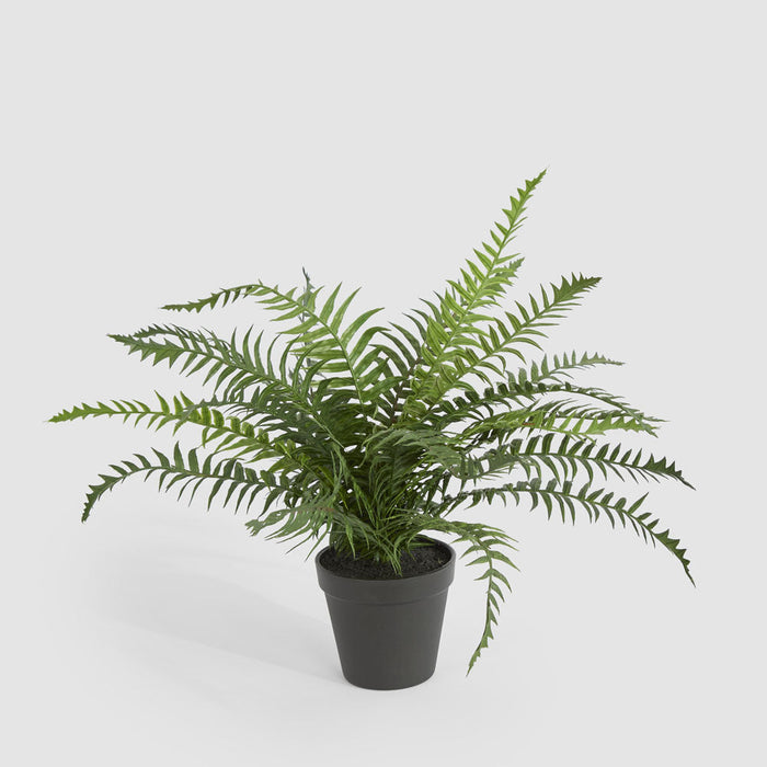 Artificial Potted Fern 40Cm 40cm Green - FLORA DESIGNS