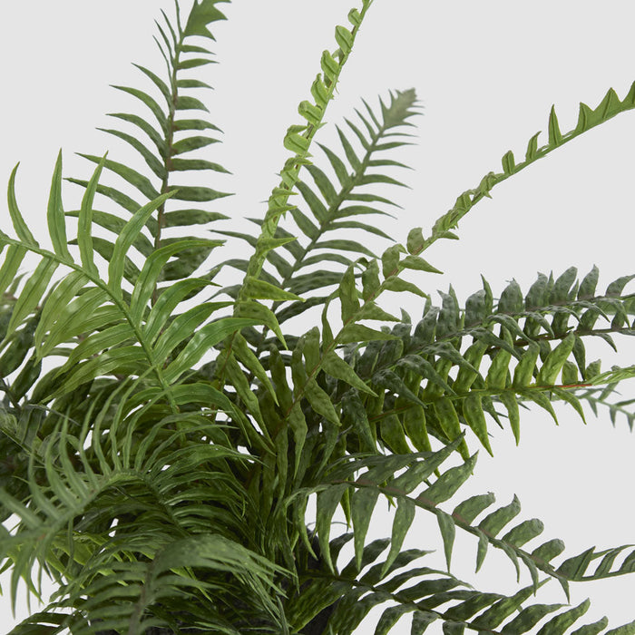 Artificial Potted Fern 40Cm 40cm Green - FLORA DESIGNS