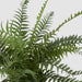 Artificial Potted Fern 40Cm 40cm Green - FLORA DESIGNS