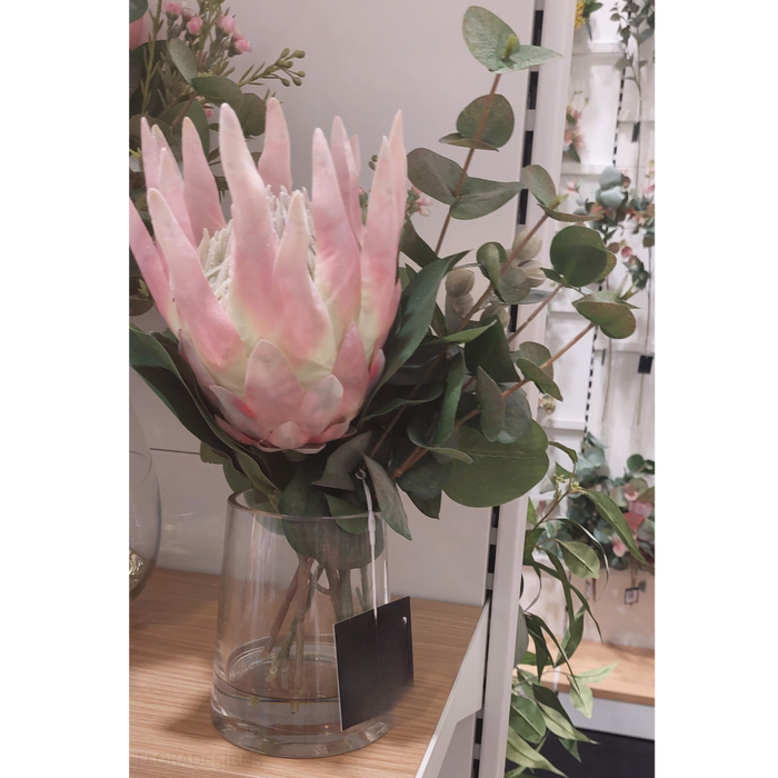 Protea King Mix in Vase - Light Pink - 30cm