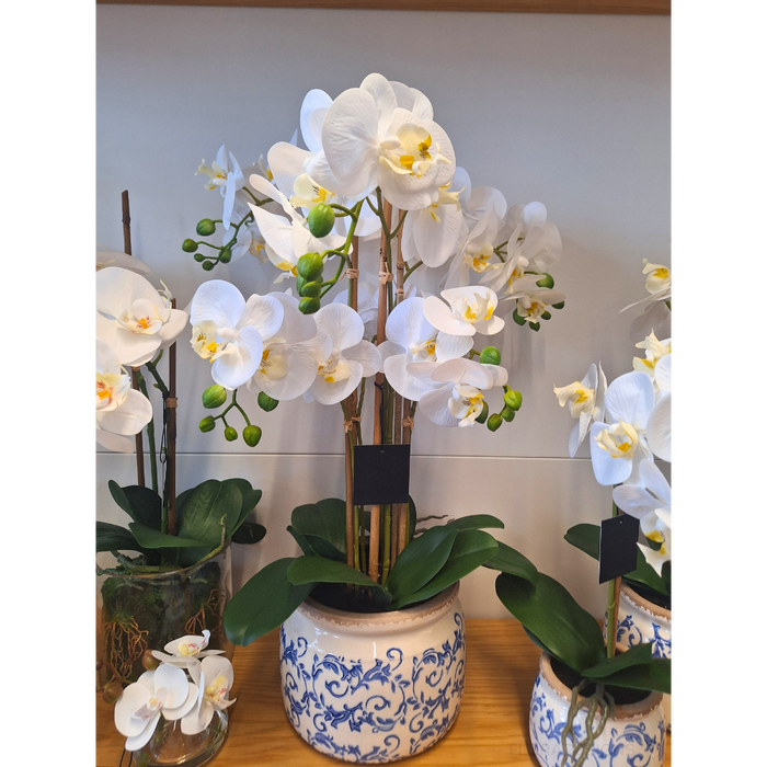 Orchid Phalaenopsis in Scarla Pot 58cm