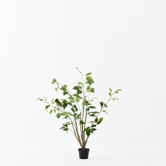Ficus Tree Green 90cm A- Pack of 2