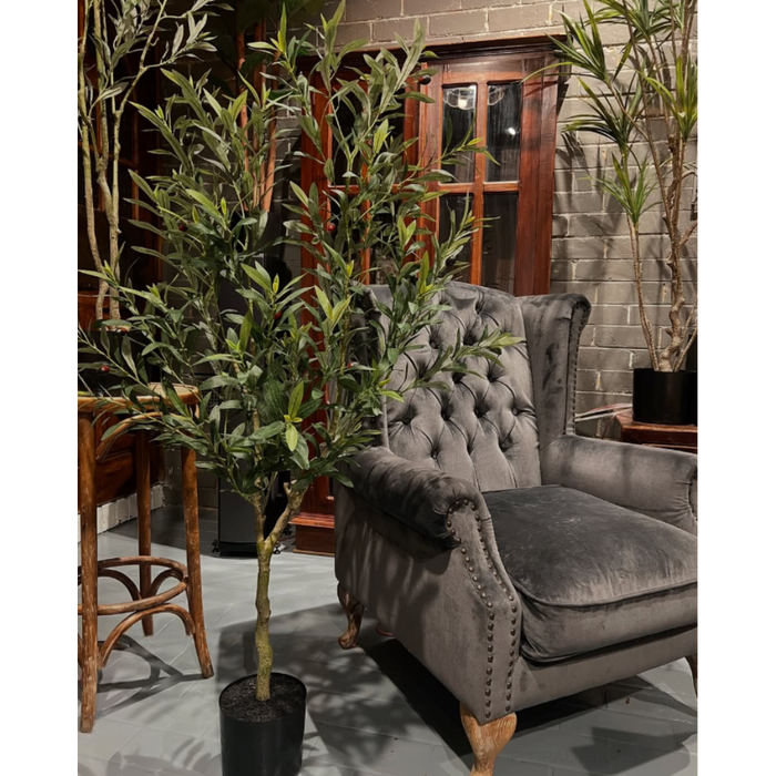 Olive Tree - 150cm Green