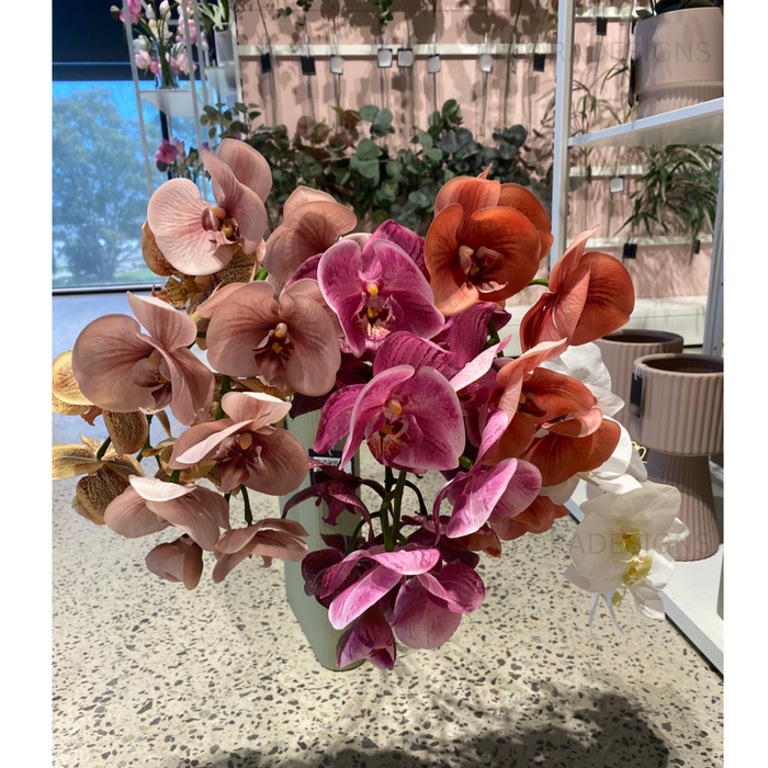 Orchid Phalaenopsis Spray Hot Pink 92cm Pack of 12