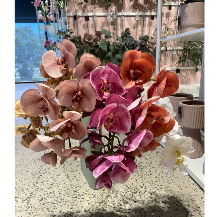 Orchid Phalaenopsis Spray Watermelon  Pink 92cm Pack of 12