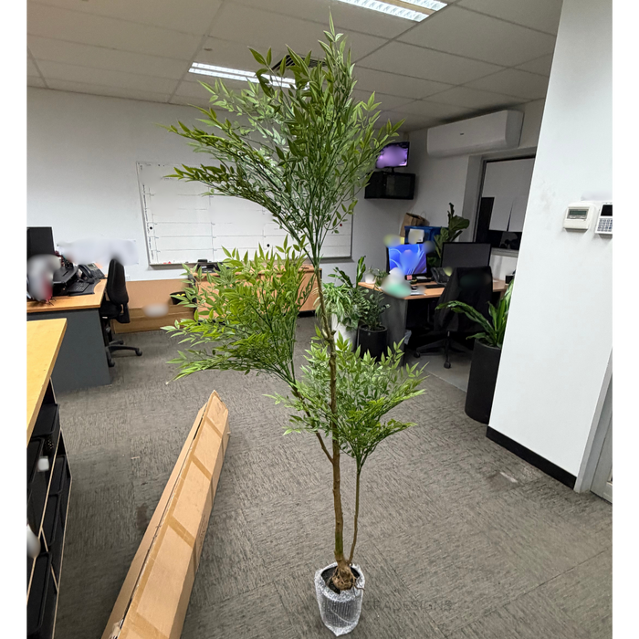 Green Nandina Tree 170cm