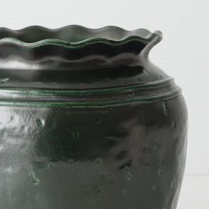 Favaro Pot Pine Green, 27cm