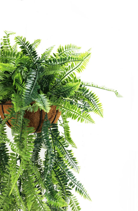 Fern Basket Hanging Basket UV Resistant 125cm Green