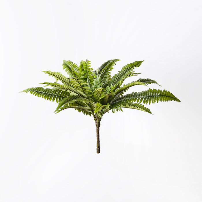 Fern Boston Bush 45cm Green Set of 6